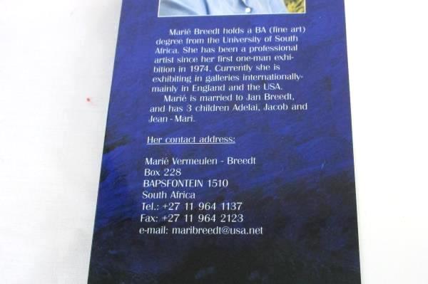 A Celebration of Paint, Light & Colour - Marie V. Breedt & Joy Heyneke Signed