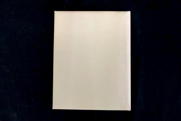 Vintage 1945 CR Gibson Baby's Milestones Book Photo Album Original Box