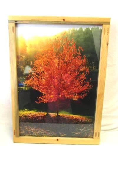 Photograph Print of a Tree with Fall Foliage 30" X 22" With Handcrafted Frame