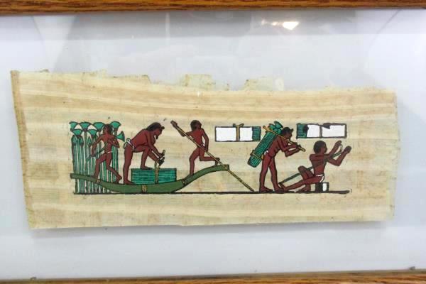 Print On Papyrus Workers Harvesting Papyrus