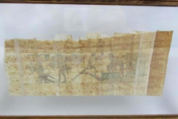 Print On Papyrus Workers Harvesting Papyrus