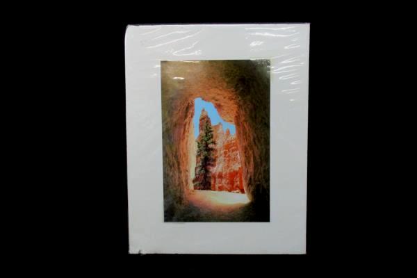 Bryce Canyon Landscape Matted Photograph by Marilyn Affolter 10" x 6.5"