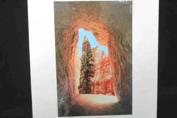 Bryce Canyon Landscape Matted Photograph by Marilyn Affolter 10" x 6.5"