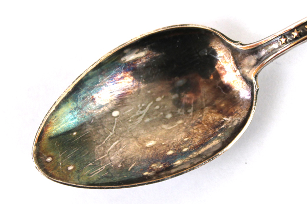 Alaska Flag Enamel Souvenir Collector Spoon