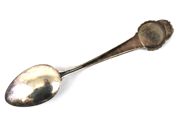 Alaska Flag Enamel Souvenir Collector Spoon