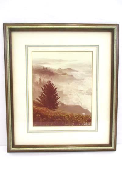 Foggy Morning Coastal View Trees & Cliffs Picture Photo Framed Art Signed