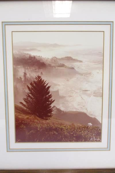 Foggy Morning Coastal View Trees & Cliffs Picture Photo Framed Art Signed