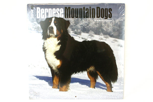 2014 Bernese Mountain Dogs 18-Month Calendar BrownTrout Publishers Inc SEALED