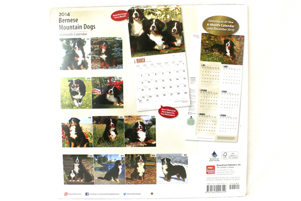 2014 Bernese Mountain Dogs 18-Month Calendar BrownTrout Publishers Inc SEALED