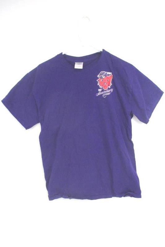 Linfield College Lot 3 T-Shirts Gray Purple 25th Anniversary Young Life College