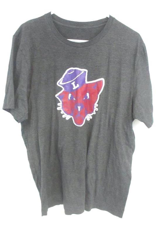 Linfield College Lot 3 T-Shirts Gray Purple 25th Anniversary Young Life College