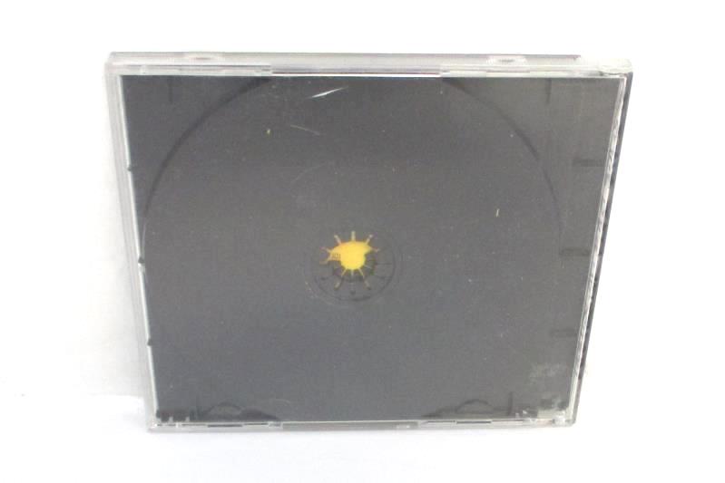 2 CDs Stevie Ray Vaughan Couldn't Stand the Weather Richard Marx Repeat Offender