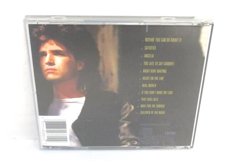 2 CDs Stevie Ray Vaughan Couldn't Stand the Weather Richard Marx Repeat Offender