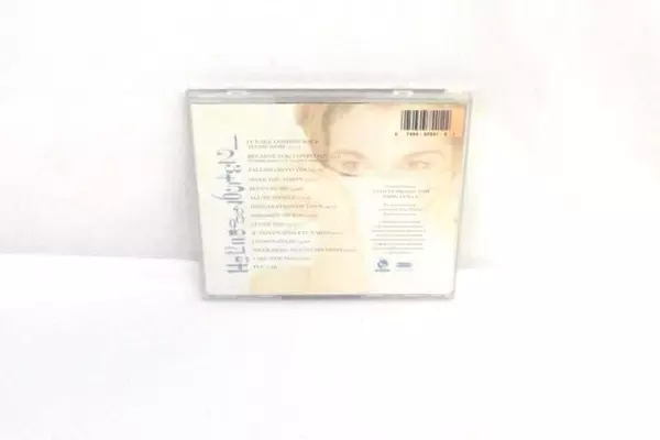 Lot of 2 Celine Dion CDs Let's Talk About Love Falling Into You 1990s Pop