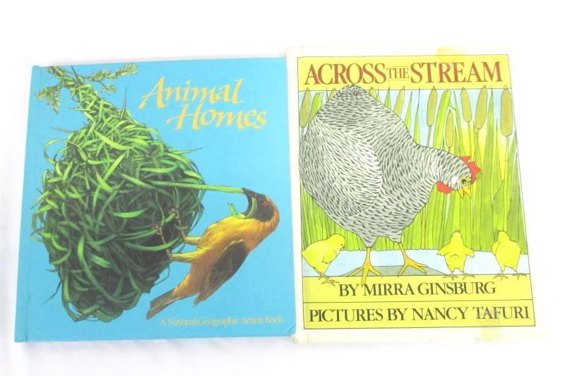 Lot of 3 Vintage Kids' Books: Night Sky + Animal Homes + Across The Stream