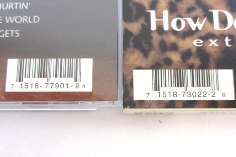 Lot Of 2 Leann Rimes CDs Sittin' On Top Of The World How Do I Live Extended Mix