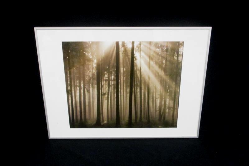 Charles Bowman Framed Art Print Filtered Light 2006 Getty Images 28 x 20In