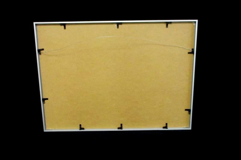 Charles Bowman Framed Art Print Filtered Light 2006 Getty Images 28 x 20In
