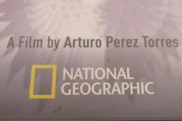 Wetback The Undocumented Documentary National Geographic DVD 2004 Sealed