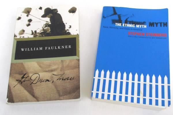 Lot of 2 Cultural/Race/Ethnicity Novels Books Stephen Steinberg William Faulkner