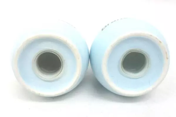 Blue Souvenir Branson Missouri Salt And Pepper Shakers Floral Design Hummingbird
