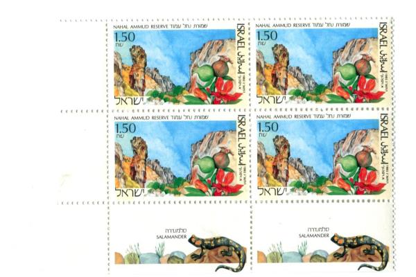 1993 Israel Stamps 3 Blocks of 4 Unused Nature Reserve MNH with Tab