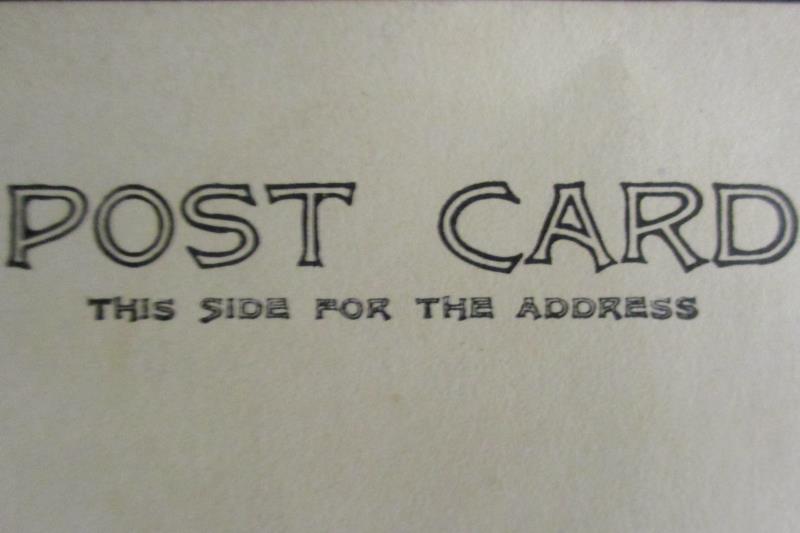 Vintage RPPC Postcard Carlin Studios Lady Steeplechase Pier Never Postmarked