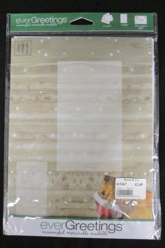 Lot of 2 everGreen everGreeting Meaningful Mailers Christmas Labrador Retriever