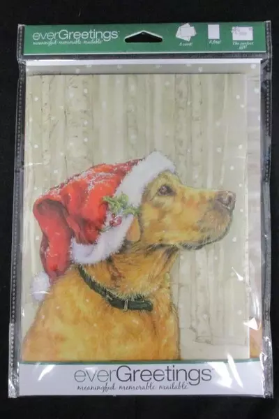 Lot of 2 everGreen everGreeting Meaningful Mailers Christmas Labrador Retriever