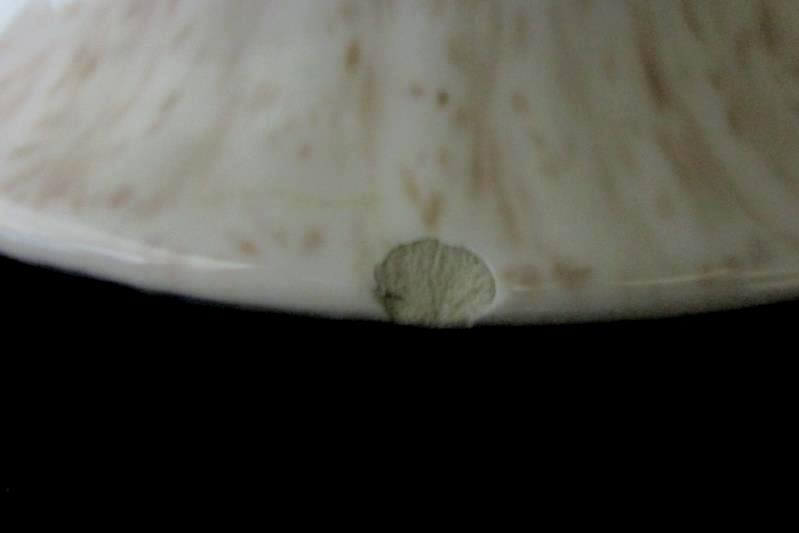 Vintage Soup Tureen White Brown Speckled Pink Brown Roses Cover Ladle Underplate