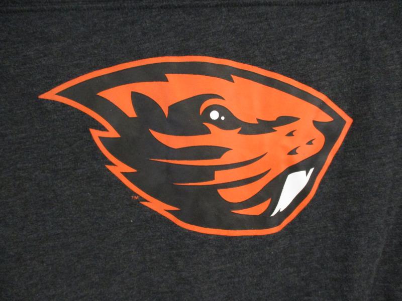 Nike Women's OSU Beavers Shirt Top Gray V Neck Short Sleeve Cotton Blend Sz XL