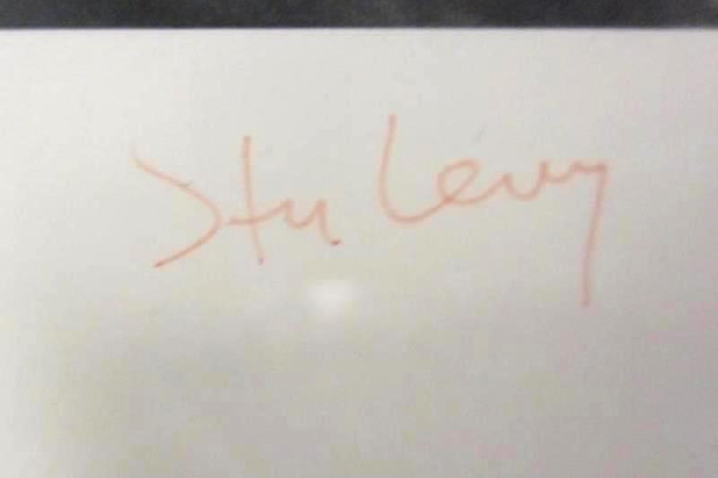 Stu Levy The Silver Image Gallery 1984 Havasu Stream Silver Metal 28X24 Signed