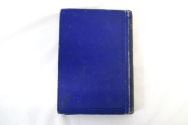 Golden Sunbeams for Boys and Girls Lottie Nunn Antique Hardcover Book 1883