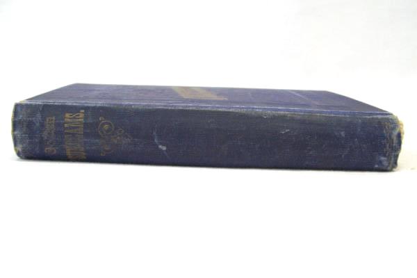 Golden Sunbeams for Boys and Girls Lottie Nunn Antique Hardcover Book 1883