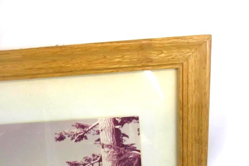 Trip To Peyto Lake Canadian Rockies Wood Frame Photo Print 29.5 X 25.5 Inches