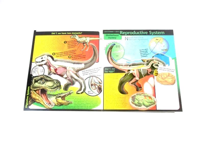Uncover A T Rex Dennis Schatz 3D Dinosaur Body Systems Silver 2002 Hardback Book