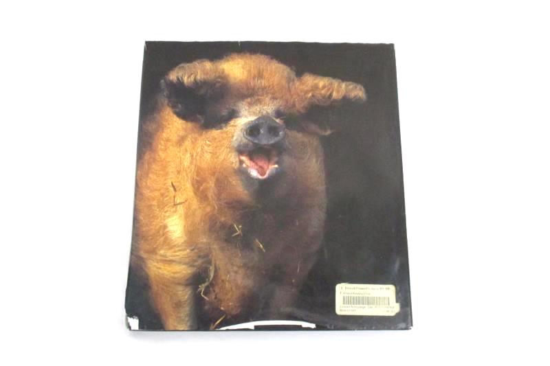 Extraordinary Pigs by Stephen Green-Armytage 2011 First Edition Hardcover