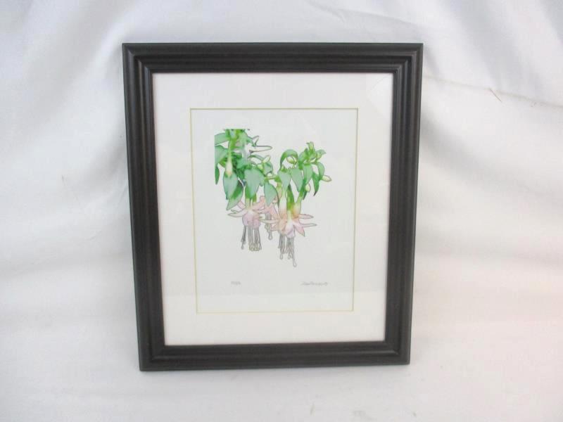 Framed Water Color Painting Fuchsias Signed S Lambert Limited Edition 10/25