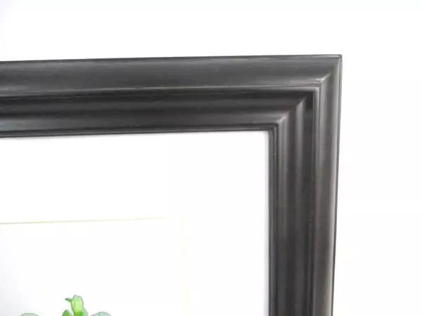 Framed Water Color Painting Fuchsias Signed S Lambert Limited Edition 10/25