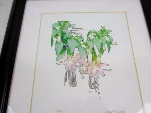 Framed Water Color Painting Fuchsias Signed S Lambert Limited Edition 10/25