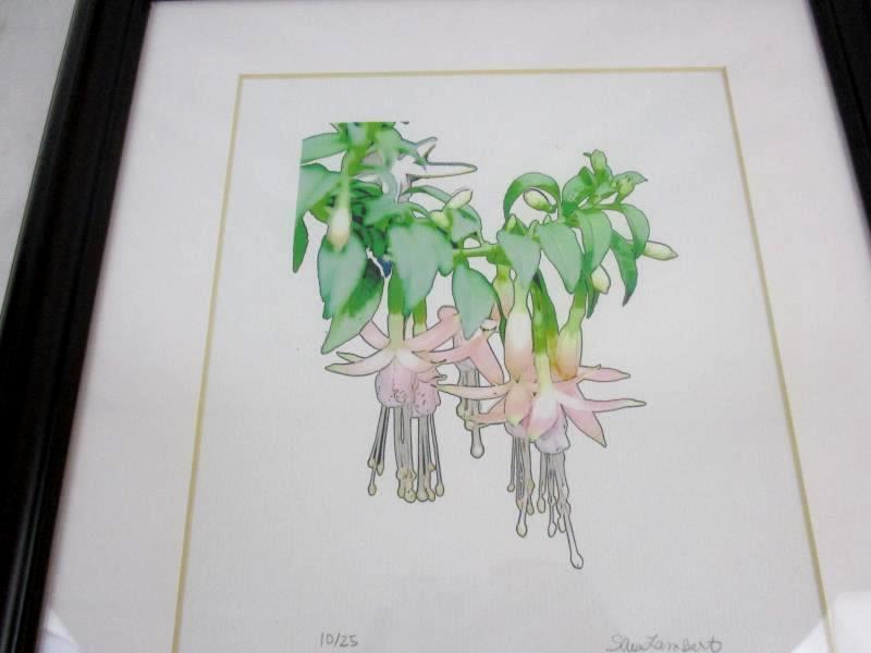 Framed Water Color Painting Fuchsias Signed S Lambert Limited Edition 10/25