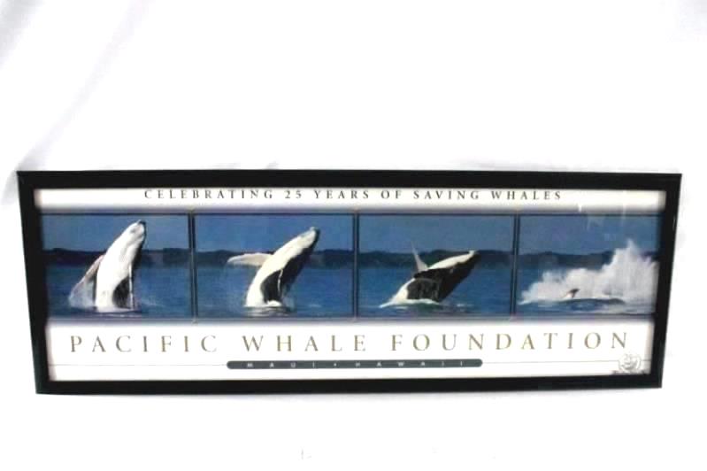 Pacific Whale Foundation 25 Years Maui Hawaii Framed Poster Print 2005 Black