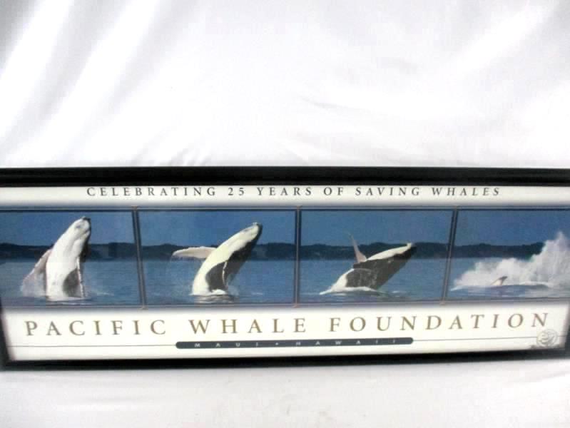 Pacific Whale Foundation 25 Years Maui Hawaii Framed Poster Print 2005 Black