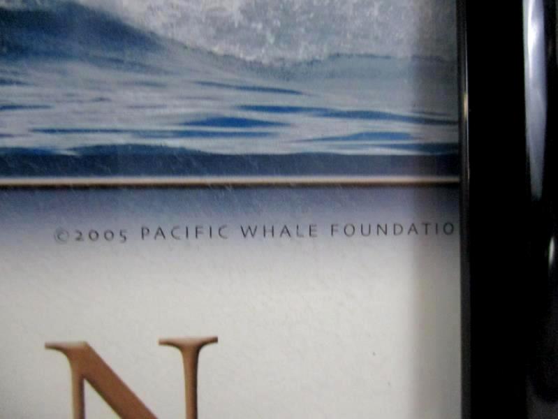 Pacific Whale Foundation 25 Years Maui Hawaii Framed Poster Print 2005 Black