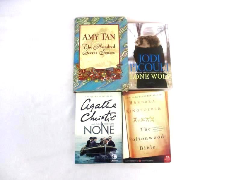 Lot of 4 Novels Female Authors Mystery The Poisonwood Bible Lone Wolf Fiction
