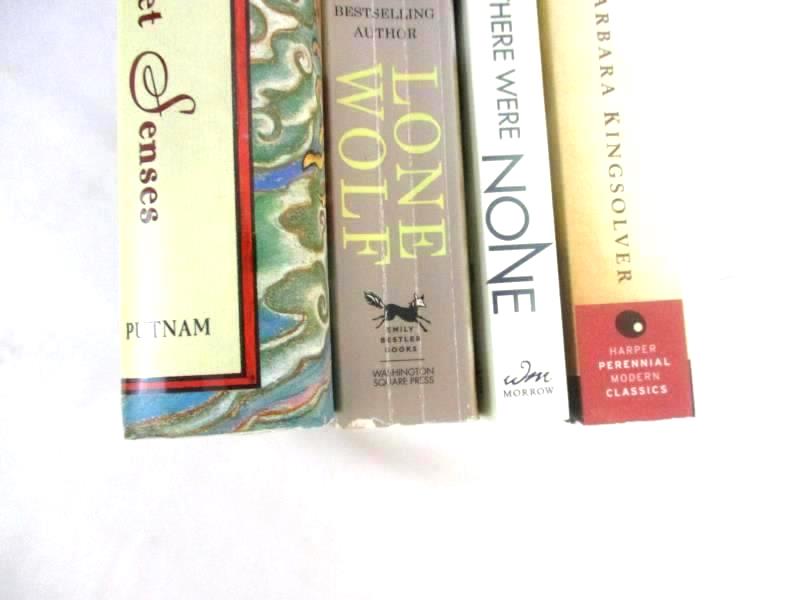 Lot of 4 Novels Female Authors Mystery The Poisonwood Bible Lone Wolf Fiction