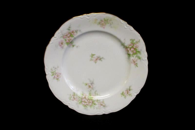 Lot of 6 TK Thun 10 Inch Dinner Plates Bohemia Czechoslovakia THU172