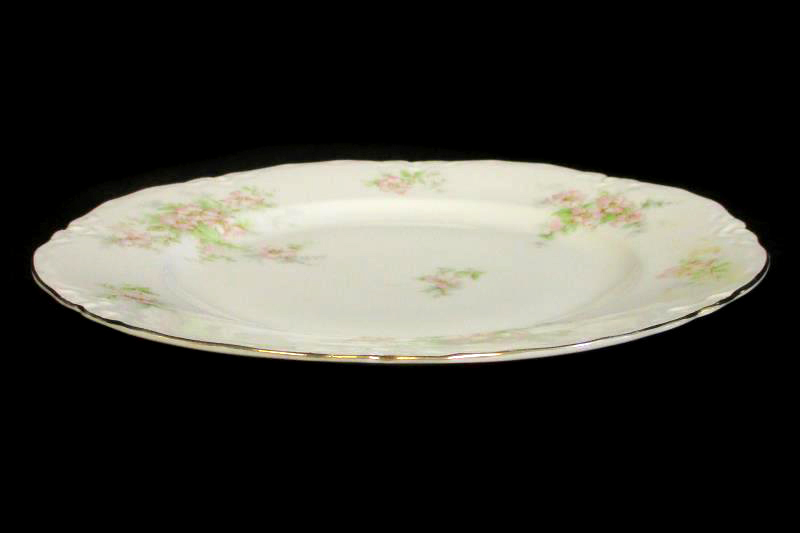 Lot of 6 TK Thun 10 Inch Dinner Plates Bohemia Czechoslovakia THU172