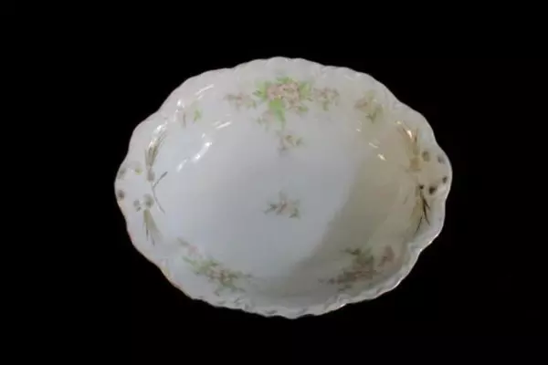 TK Thun Oval Vegetable Bowl Bohemia Czechoslovakia THU172