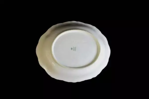 TK Thun Oval Vegetable Bowl Bohemia Czechoslovakia THU172